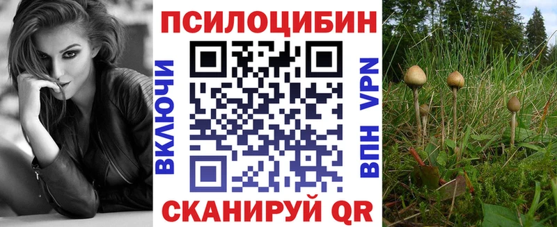 kraken маркетплейс  Шали  Галлюциногенные грибы ЛСД 